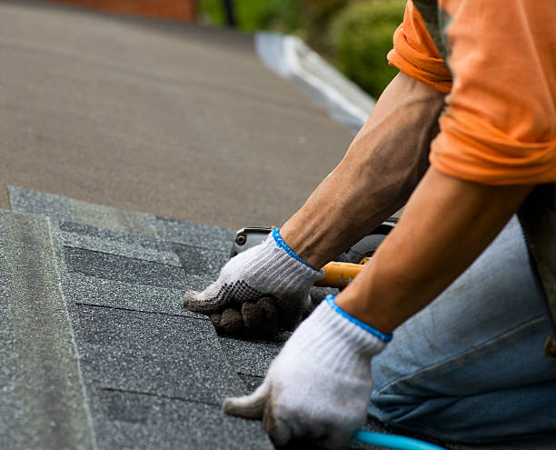 Quick and Trustworthy Emergency Roof Repair Services in Pierre, SD